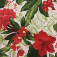 Hibisco